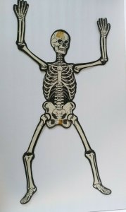 Halloween Large Jointed Skeleton Diecut Wall Display Vintage Luhrs 23 Tall 