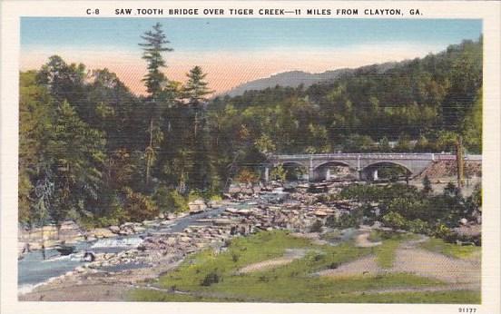 Georgia Clayton Saw Tooth Bridge Over Tiger Creek