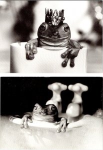 2~1998 4X6 Postcards  TOP TOAD & TOAD IN A TUB  David McEnery B&W Frog Art
