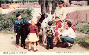MO, Missouri  ST LOUIS ZOO  Baby Llamas & Children  ZOO KEEPER  1953 Postcard