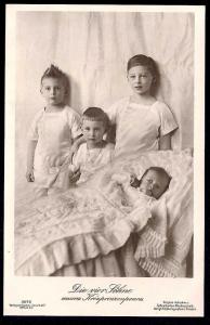 Duke of Brunswick's Four Sons - Real Photo PC unused c1923