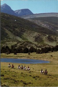 Pine Butte Guest Ranch Choteau Montana Postcard PC399