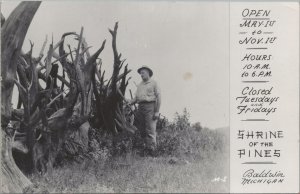 RPPC Postcard Shrine of the Pines Baldwin Michigan MI