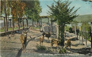 United States Deer Park Mission Cliff Gardens San Diego California postcard