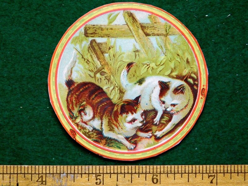 1870s-80s Lovely Cats Kittens Die Cut Scrap Trade Card F21