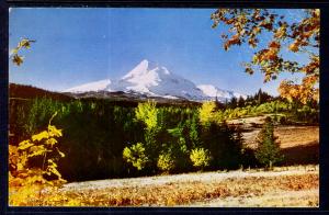 Mt Hood in Autumn,OR BIN