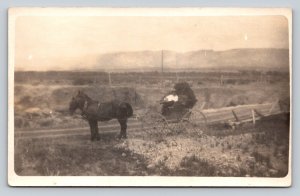 RPPC Horses Pulling a Person in a Carriage AZO 1904-1918 ANTIQUE Postcard 1297