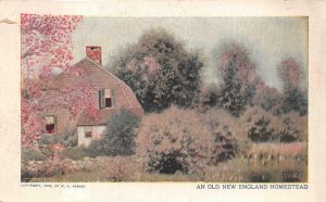 NEW ENGLAND HOMESTEAD NY SUNDAY AMERICAN JOURNAL NEWSPAPER POSTCARD (1904)