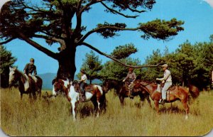 New York Horseback Riders With View Of Lake George