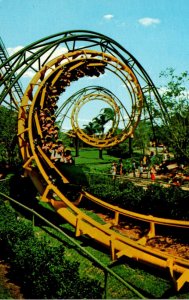 Florida Tampa Busch Gardens The Python Roller Coaster