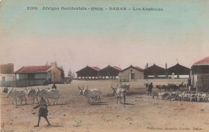 Dakar Senegal Abbatoirs Abattoir Antique African Postcard