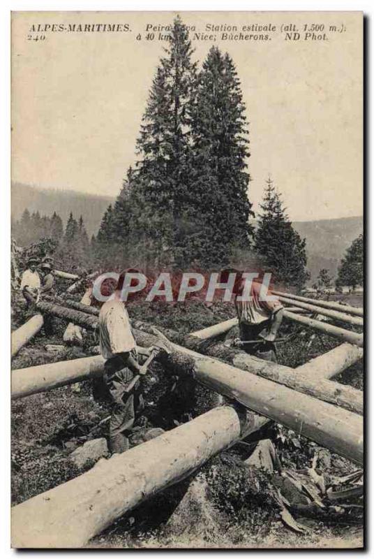 VINTAGE POSTCARD Foret Folklore the Alps Peira Undermined Lo