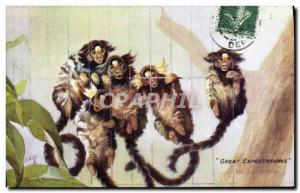 Postcard Old Monkey Great expectations