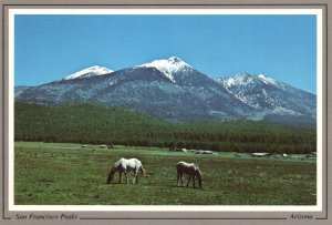 San Francisco Peaks,Flaggstaff,AZ BIN