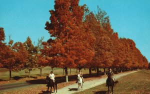 Vintage Postcard Riding Trail Homestead Hotel Hot Springs Virginia Ektachrome