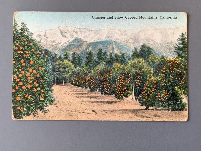 Oranges And Snow Capped Mountains CA Litho Postcard A1143091706