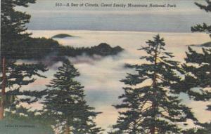 Smoky Mountains National Park Sea Of Clouds 1953 Curteich