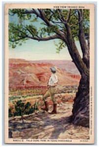 c1940 View Triassic Mesa Palo Duro Park Texas Panhandle Vintage Antique Postcard