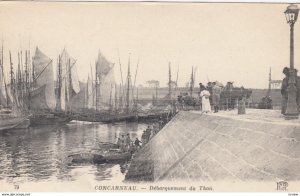 CONCARNEAU, France,1910-1920s, Debarquement du Thon