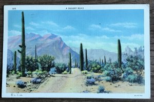 Postcard Used “A Desert Road” Saguaro Cactus Tucson AZ 1936 Linen L31