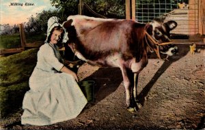 Cows Milking Time  Curteich