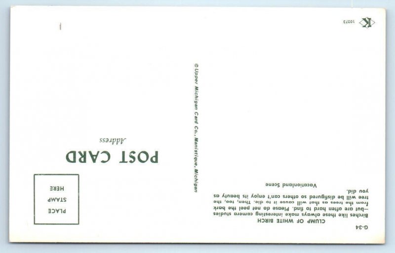 BAD AXE, MI Michigan ~ FALL COLOR Scene c1960s Huron County Postcard