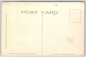 Stroudsburg PA~Main Street Looking East~Corner Drug Store~Sidewalk Shoppers~1914