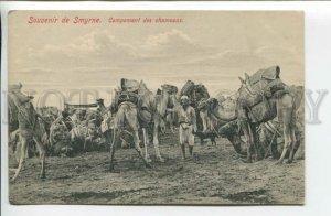 439583 Izmir Turkey Smyrna SMYRNE Camel caravan Vintage postcard