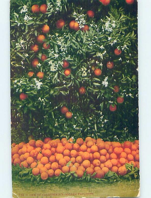 Divided-Back ORANGE TREES Postmarked Sacramento California CA HJ7201