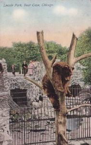 Illinois Chicago Bear Cave Lincoln Park