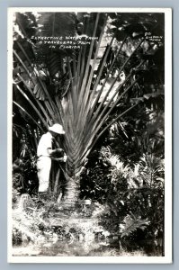 FLORIDA EXTRACTING WATER FROM TRAVELERS PALM VINTAGE REAL PHOTO POSTCARD RPPC