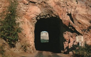 Vintage Postcard Shrine Stone Frame Like Huge Picture Black Hills South Dakota