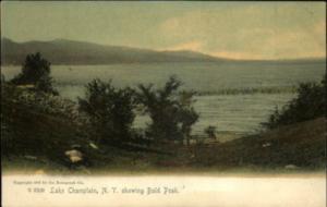 Lake Champlain NY Rotograph 6308 c1910 Postcard