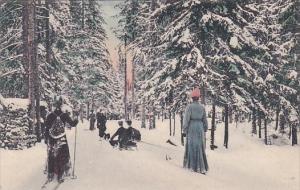 People Skiing Through Forest In Sweden