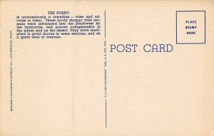 Desert Sweethearts Donkey Unused 