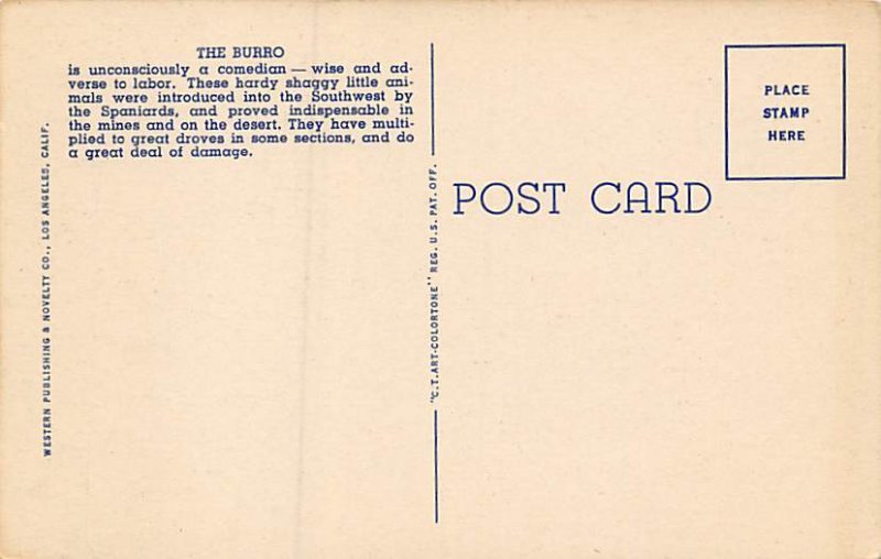 Desert Sweethearts Donkey Unused 