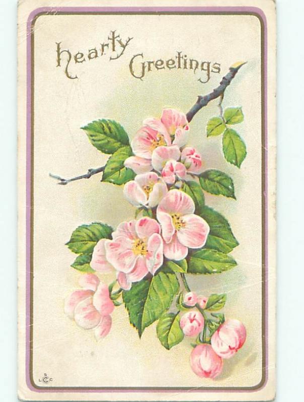 Divided-Back BEAUTIFUL FLOWERS SCENE Great Postcard AA3257