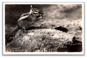 RPPC Chipmunk at Big Bear Lake California CA UNP Bruner Photo No 36 Postcard Z9