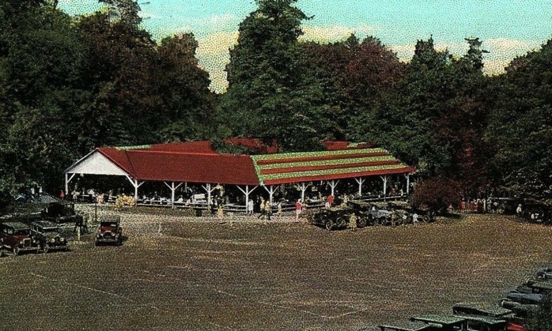 C.1910 Parking & Dining Rock Spring Park, Chester, WV Postcard P134 