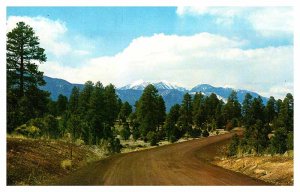 Postcard ROAD SCENE Flagstaff Arizona AZ AS0691