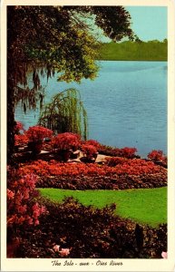 Isle Oies River Bellingrath Gardens Home Theodore AL Postcard PM Rolla MO Cancel 