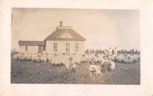 Highmore South Dakota Family with Sheep Real Photo Postcard AA41552