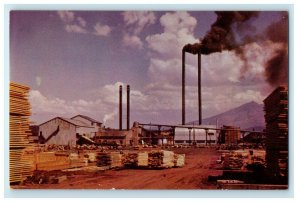 c1950s The Southwest Lumber Co. Sawmill in Flagstaff Arizona AZ Postcard