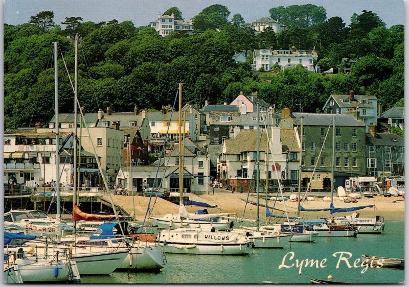 Lyme Regis Old Lyme From The Harbor Dorset England Postcard