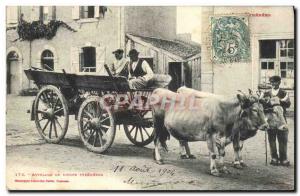 Old Postcard Folklore of oxes Pyrenean TOP