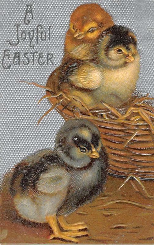 Joyful Easter Baby Chicks In Basket Antique Postcard K30865