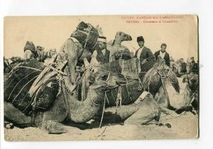 271057 TURKEY SMYRNE IZMIR CAMEL caravane Vintage postcard