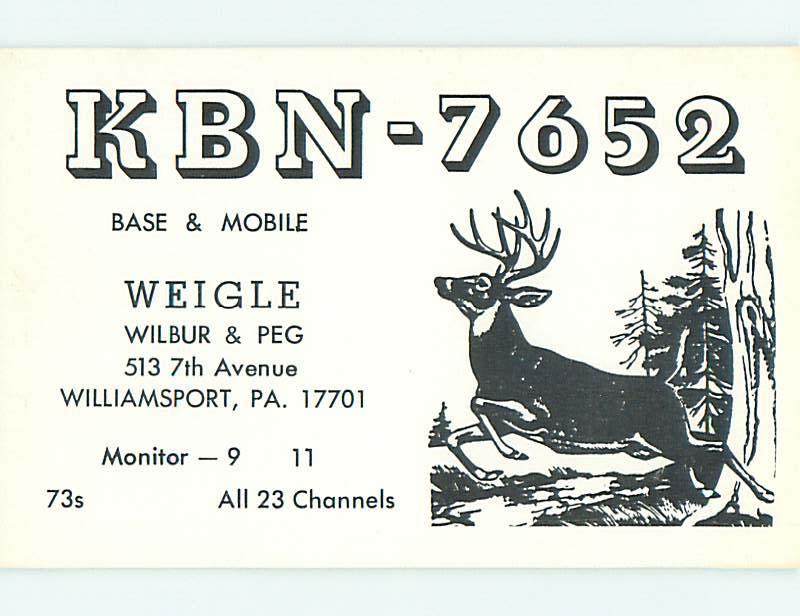 Deer - QSL CB HAM RADIO CARD Williamsport Pennsylvania PA t9724