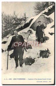 Postcard Old Hunting Pyrenees Capture & # 39un young izard living Chevre TOP