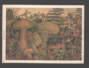 096209 Huge MUSHROOM by Jules Verne Old ART NOUVEAU Rus PC